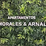 Xix C Morales & Arnal דירה